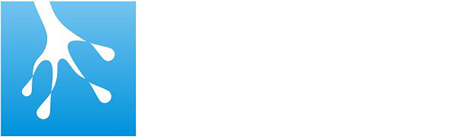 Rainy Frog Logo